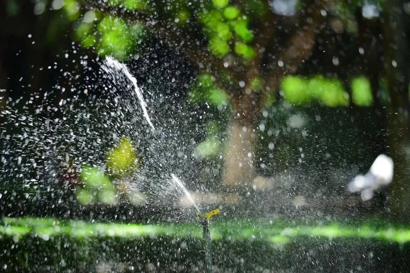 Automatisches Bewässerungssystem in einem saftig grünen Garten.