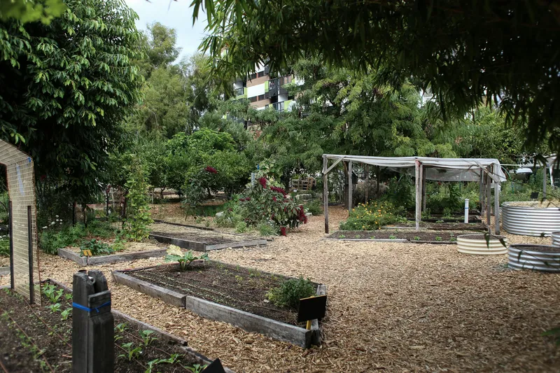 Gemüsebeete mit Mulch und leichter Beschattung in einem sommerlichen Garten