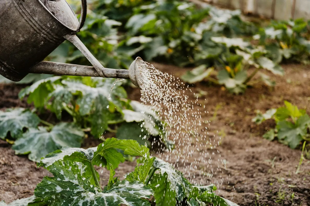 Gartenschlauch und Bewässerungssystem in Nahaufnahme