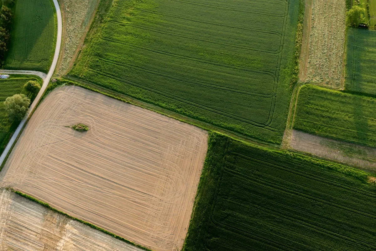 Gemüsegarten-Plan auf Papier mit verschiedenen Beeten