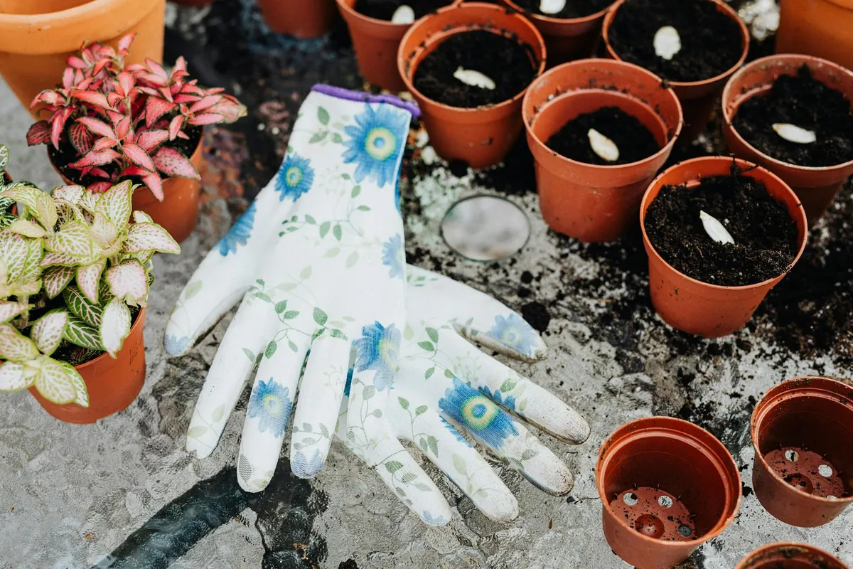 Gartenwerkzeug, Erde und Samen zum Pflanzen im Frühling