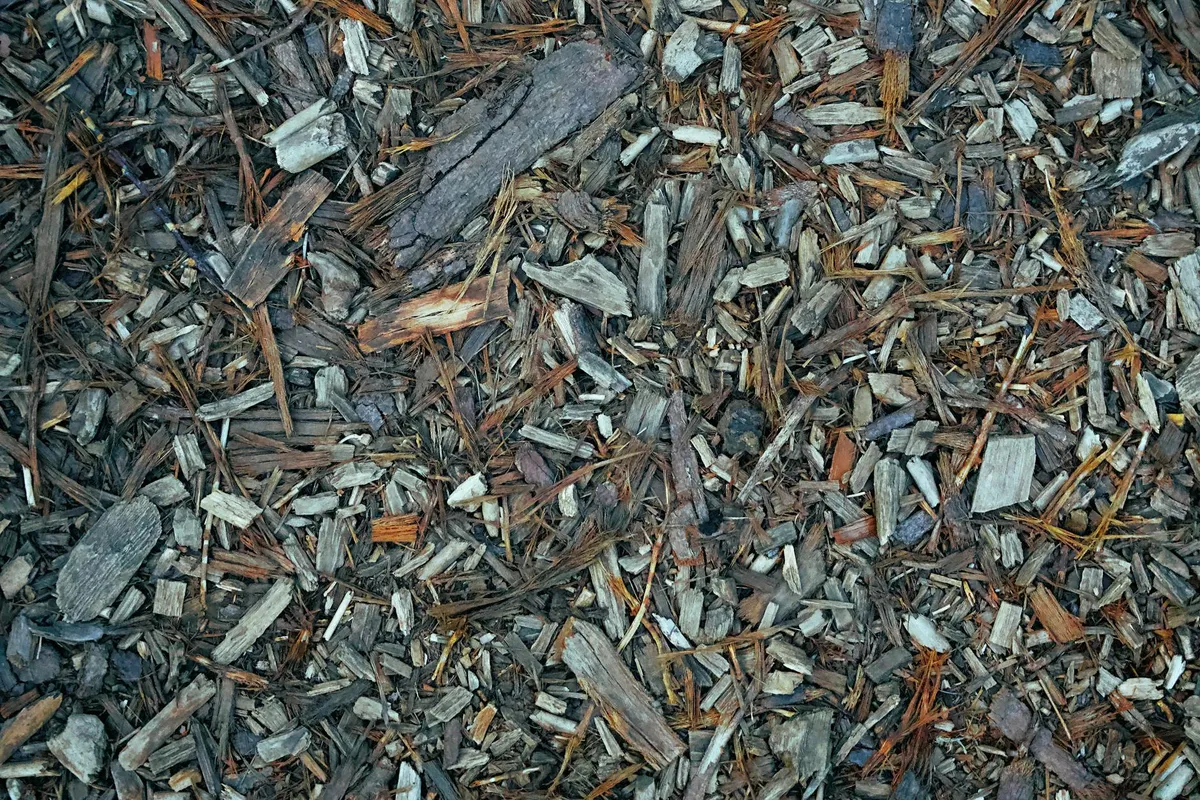 Hochbeet mit den typischen Schichten aus Holz, Kompost und Pflanzerde