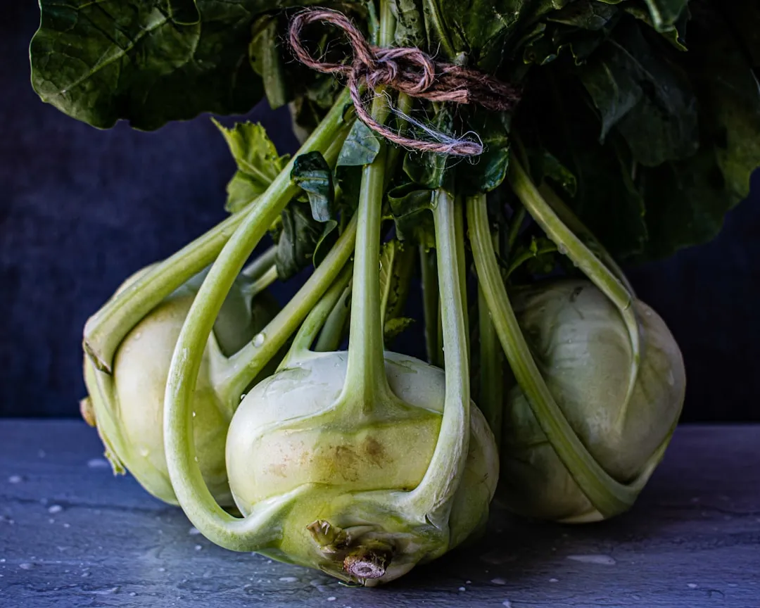 Kohlrabi wird geerntet – Messer schneidet Stiel