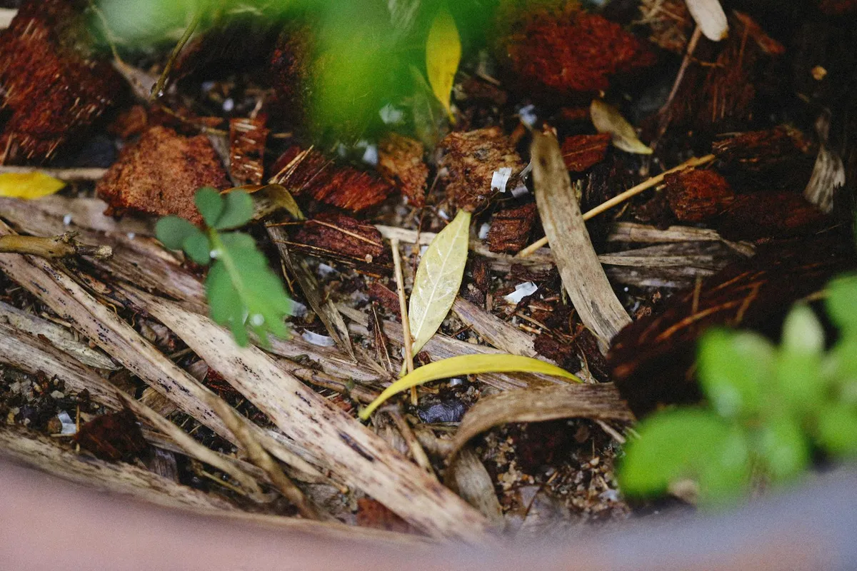 Offene Kompostmiete im Garten