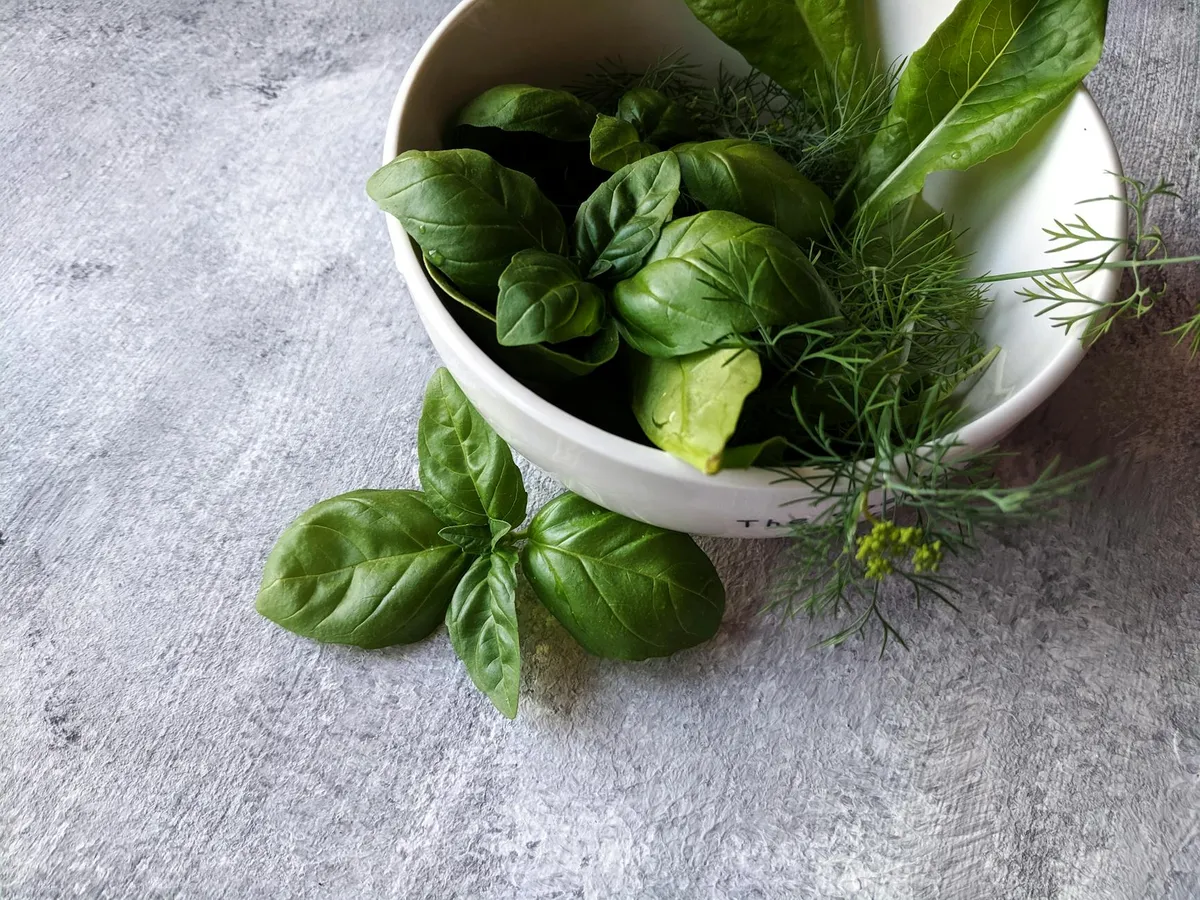 Frische Kräuter wie Thymian, Oregano und Salbei in Nahaufnahme
