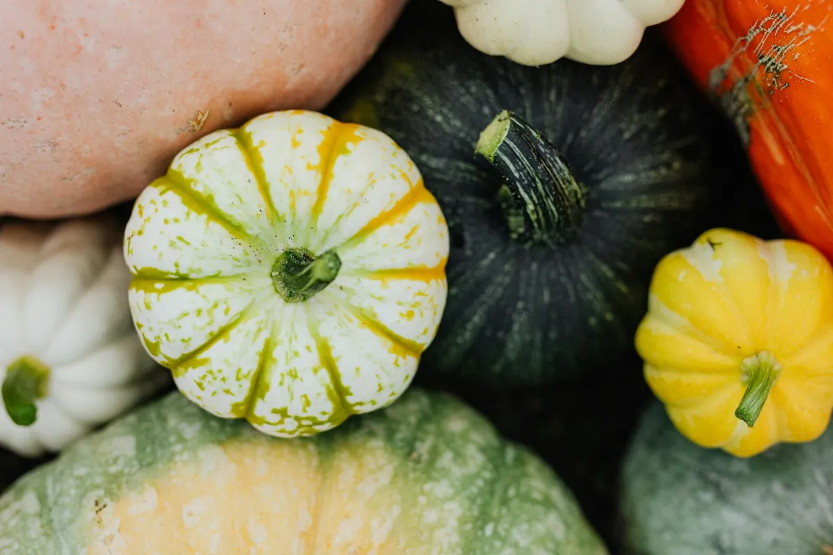Wintervorbereitung und Mulchen der Beete im Oktober