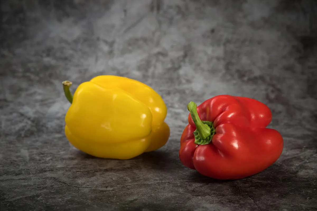 Rote und gelbe Paprika in Nahaufnahme