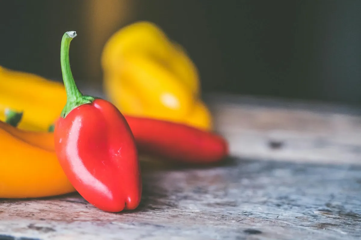 Paprika wächst im Kübel auf dem Balkon