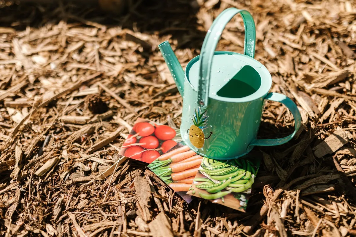 Kleine mintgrüne Gießkanne auf Rindenmulch, davor Saatguttüten mit Tomaten, Möhren und Erbsen