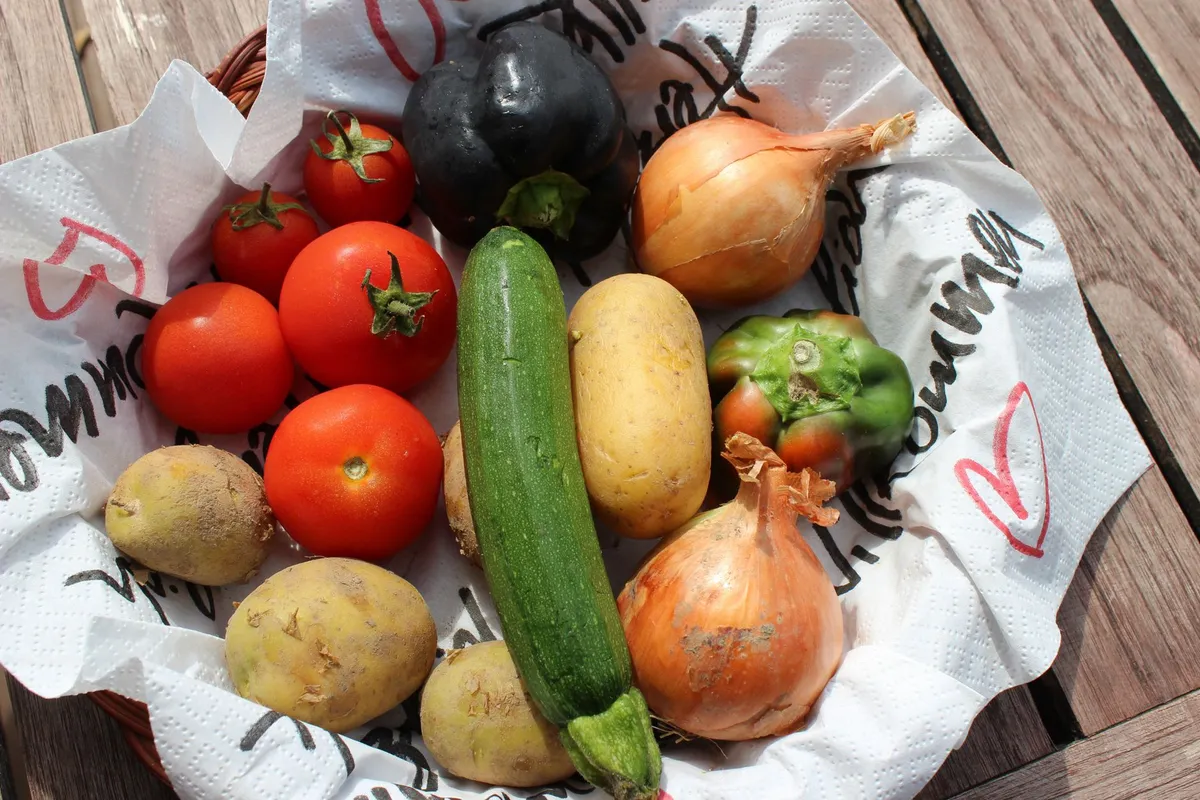 Korb voller frisch geerntetem Sommergemüse: Zucchini, Paprika, Auberginen.