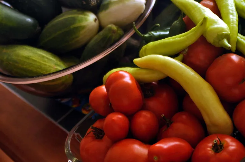 Hochsommerlicher Gemüsegarten mit reichem Gemüse im Juli