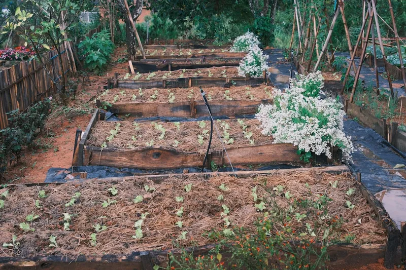 Frühlingshafte Bodenvorbereitung der Gartenbeete im März