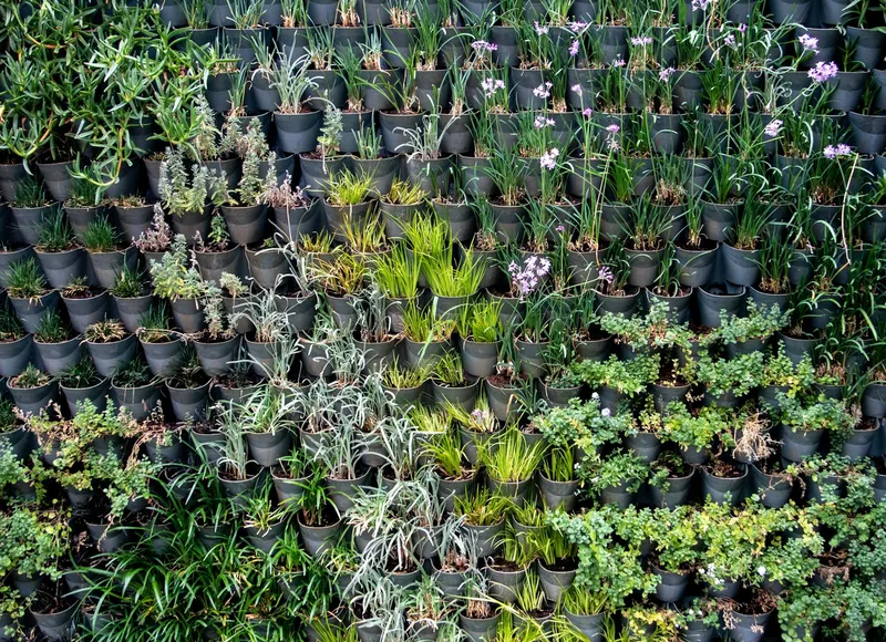 Vertikaler Garten mit Pflanzen an der Wand
