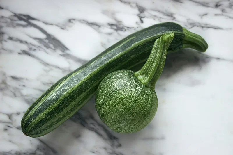 Zucchinipflanzen mit Mehltau, dicht gepflanzt, mit Blütenabwurf
